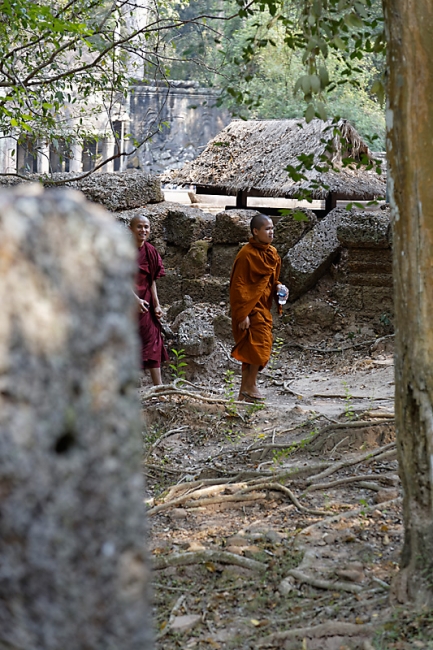 Ta Phrom et environs-023